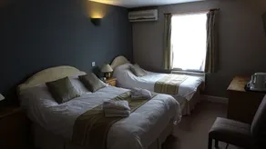 The Furze Bush Inn - Room
