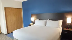 Holiday Inn Hotel & Suites Regina by IHG - Chambre