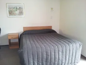 Ace High Motor Inn - Room