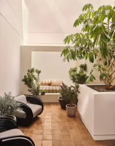Santa Monica Proper Hotel, a Member of Design Hotels - Chambre