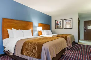 Comfort Inn Alton near I-255 - Habitación