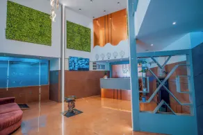 South Forest Wayanad By Bestinn Leisure - Reception