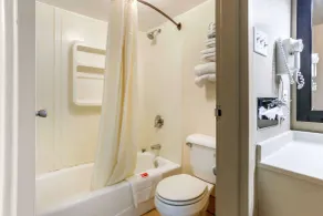 Econo Lodge Shorewood - Badezimmer