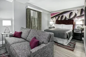 Hotel Indigo Dallas Downtown by IHG - Chambre