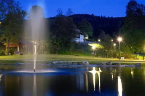 Familotel Mein Krug - Pool