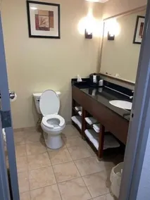 Comfort Suites Salem-Roanoke I-81 - Salle de bain