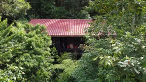 Yatama Rainforest Ecolodge - Værelse