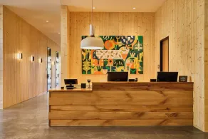AutoCamp Asheville - Mostrador de check-in y check-out