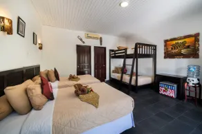 Absolute Scuba Bali Dive Resort - Room