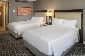 Marriott St. Louis Airport - Room