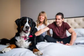 Hilton Whistler Resort & Spa - Chambre