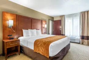 Comfort Suites Grand Rapids North - Chambre