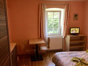 Penzion 103 - Habitación