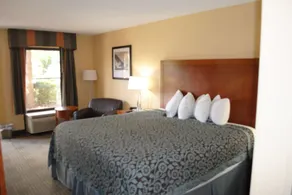 Days Inn by Wyndham Jacksonville Airport - Chambre