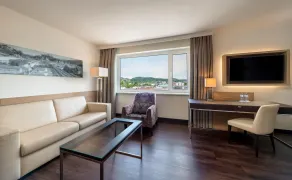 Radisson Blu Hotel & Conference Centre, Salzburg - Udsigt fra værelset