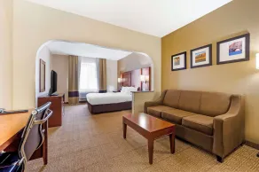 Comfort Suites Castle Rock - Denver South - Room