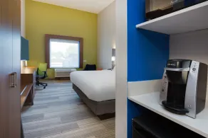 Holiday Inn Express Hotel & Suites Tampa-Fairgrounds-Casino by IHG - Chambre