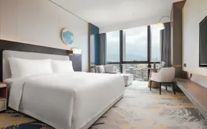 Grand Skylight International Hotel NADI - Værelse