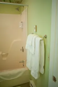 Green Tree Inn - Baño