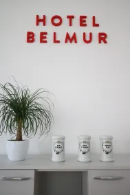Hotel Belmur - Reception