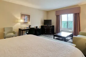 Hampton Inn & Suites Parsippany/North - Chambre