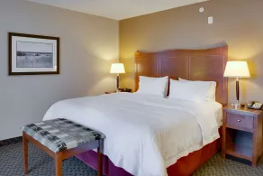 Hampton Inn Chickasha - Room