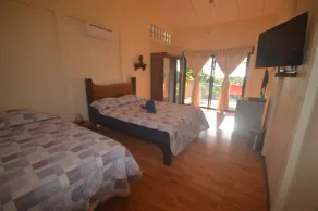 Jungle Lodge at Wild Sun Rescue Center - Habitación