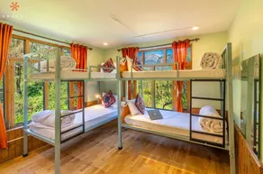 Zostel Old Manali - Room