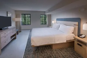 Homewood Suites by Hilton Atlanta Buckhead Pharr Road - Chambre