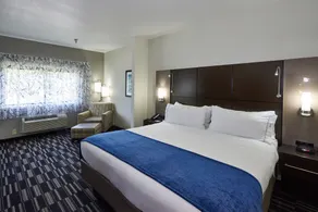 Holiday Inn Express & Suites Birmingham South - Pelham by IHG - Chambre