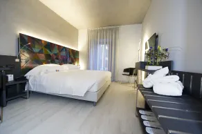Arli Hotel Business and Wellness - Chambre