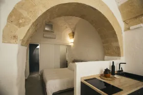 Suite-Baño privado - Habitación