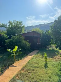 Cıralı Anka Apart Bungalov - Room