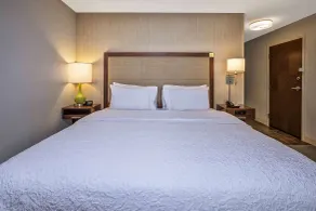 Hampton Inn by Hilton West Bloomfield Novi - Habitación