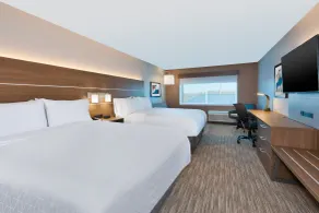 Holiday Inn Express & Suites - Cedar Springs - Grand Rapids N by IHG - Rom