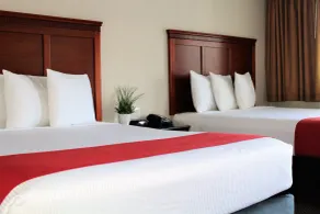 Rodeway Inn South San Francisco Airport - Chambre