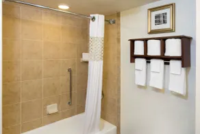 Hampton Inn Houston-Near The Galleria - Salle de bain