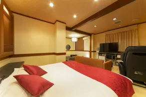 Hotel Lotus Sakai (Adult Only) - Camera