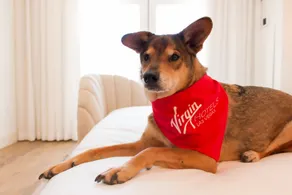 Virgin Hotels Las Vegas, Curio Collection by Hilton - Room