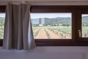 Agriturismo Terre di Castiglione - Utsikt från rummet