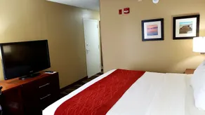 Comfort Inn Pensacola - University Area - Chambre