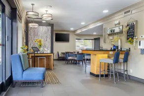 Comfort Inn Asheville East-Blue Ridge Pkwy Access - Réception