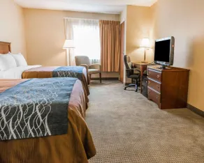 Rodeway Inn Mercer I-80 - Room