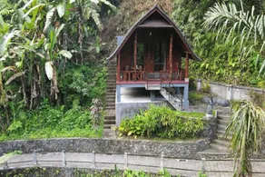 Bali Jungle Resort - Room