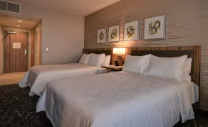 Hilton Garden Inn Anaheim Resort - Chambre