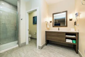 Palace Inn Blue Edgebrook - Salle de bain