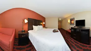 Hampton Inn Sturgis-Lagrange Area - Værelse