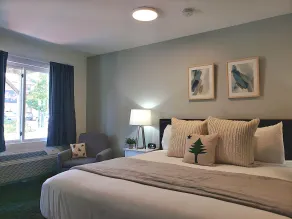 Main Street Motel - Room