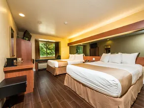 Microtel Inn and Suites Ocala - Chambre