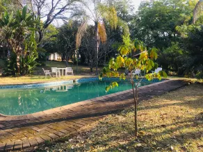 Masasana’s Rest - Pool